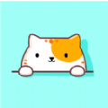 貓咪壁紙