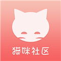 貓咪社區