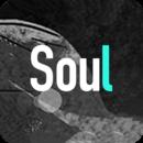 soul軟件