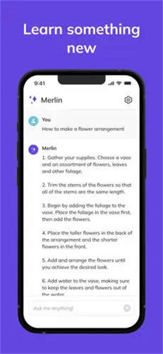Merlin截图