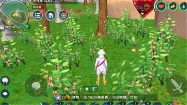 《創造與魔法》紅豆蓮子羹配方及食材位置分享