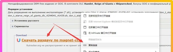 俄罗斯盗版游戏网站怎么下游戏