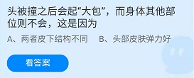 《螞蟻莊園》3月24日頭被撞之後會起“大包”因爲什麽