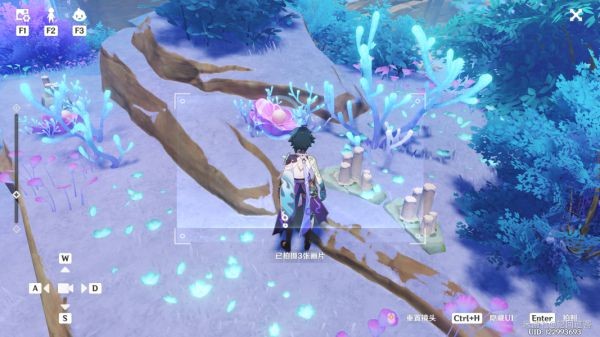《原神》堇庭華彩月章金句玩法攻略
