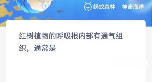 紅樹植物的唿吸根內部有通氣組織通常是什麽