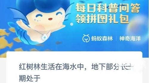 紅樹林生活在海水中地下部分長期處于什麽