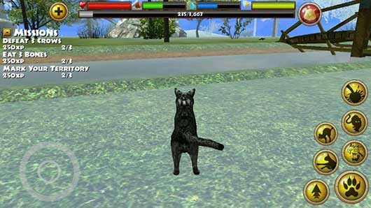 流浪猫模擬器下載安装_流浪猫模擬器最新版app下載