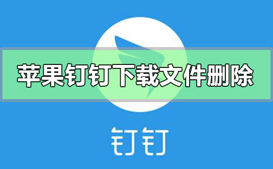 苹果手机钉钉下载的文件怎么删除