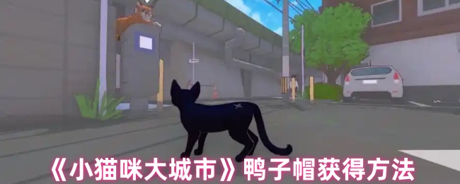 《小猫咪大城市》鸭子帽获取技巧揭秘