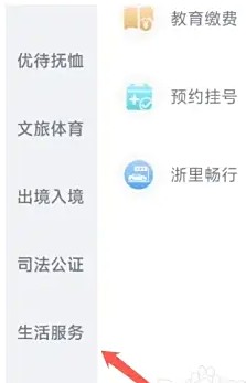 电子居住证查询