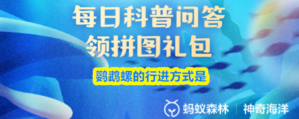 《支付寶》探索鹦鹉螺的運動方式