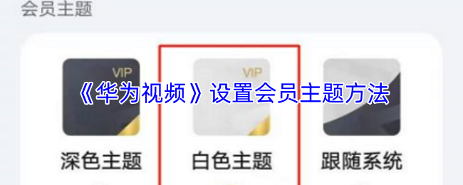 《華爲視頻》優化會員主題設置的實用指南