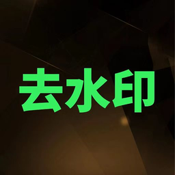 視頻解析大師