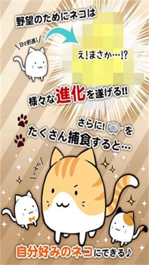 這是貓咪嗎截图